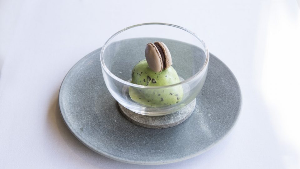 Mint Choc Chip Ice Cream, Chocolate Macaroon (1024x683)