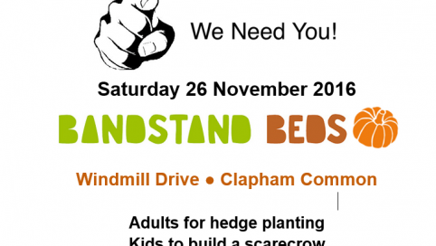 bandstand beds