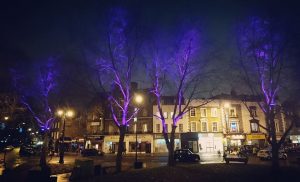 uplighting trees