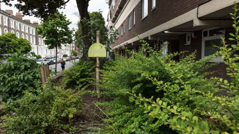 landor road urban orchard