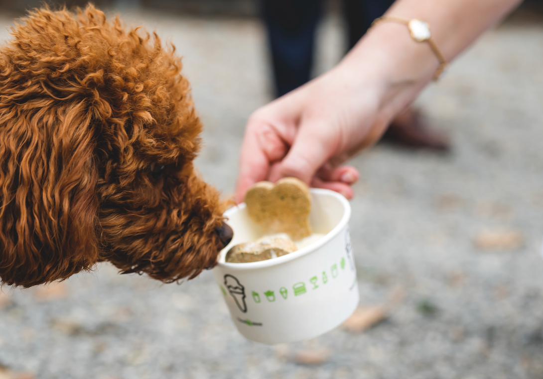 cuddle for good at shake shack - This is Clapham